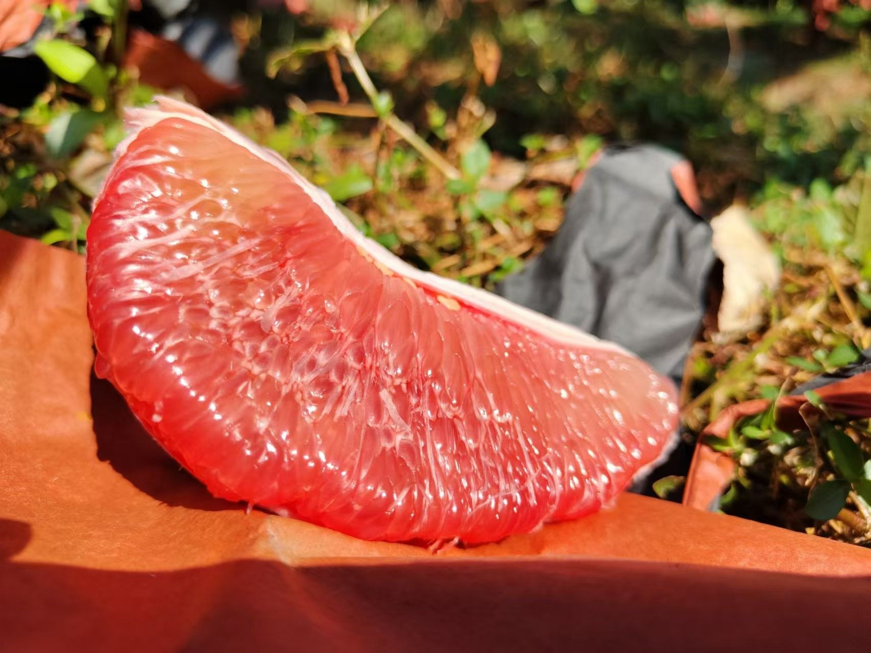 Grapefruit